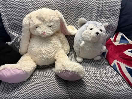 Photo of free Stuffed Rabbit and husky (Peachcroft OX14) #1