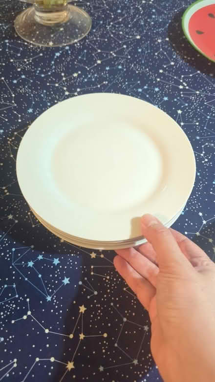 Photo of free Small plates (Headington OX3) #1