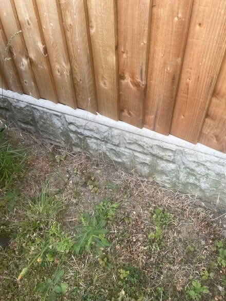 Photo of Gravel board (Littleover DE23) #1