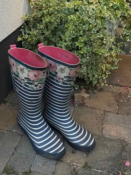 Photo of free Ladies festival boots (Terenure) #1