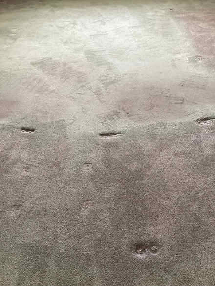 Photo of free Carpet (Castle Donington DE74) #1