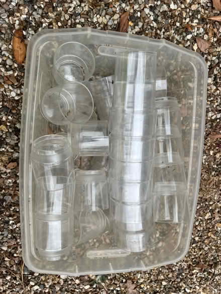Photo of free Plastic cups (Little Baddow CM3) #1