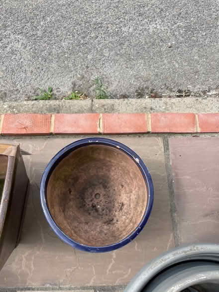 Photo of free Plant pots (Chessington KT9) #3