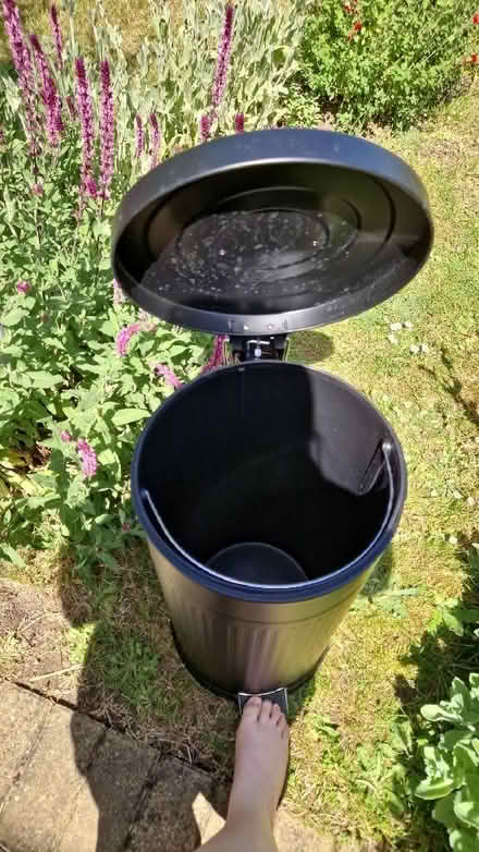 Photo of free Pedal bin (Wildridings RG12) #2