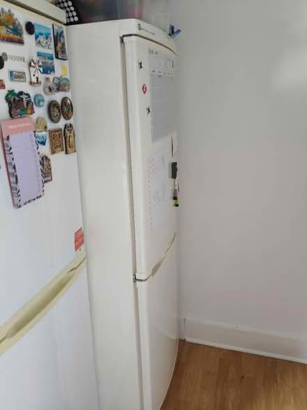 Photo of free Fridge freezer (Richmond TW9) #1