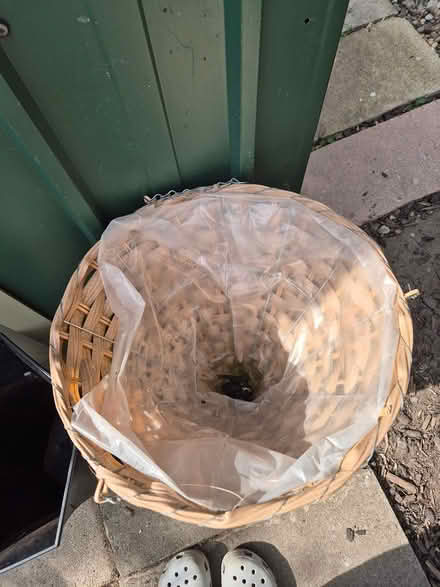 Photo of free Used plant pots (OL6 ashton under lyne) #4
