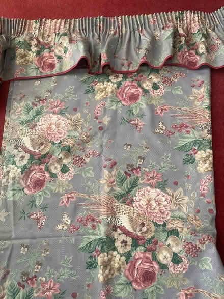 Photo of free Two pairs long Dorma curtains (Old Town TN34) #1