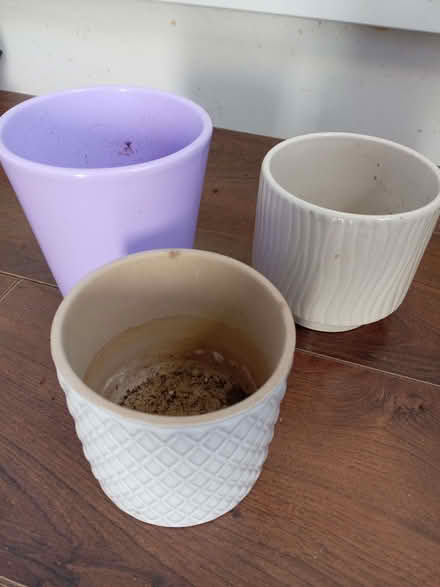 Photo of free Planters and plant saucers (Slateford EH14) #4
