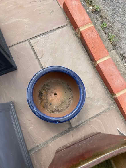 Photo of free Plant pots (Chessington KT9) #4