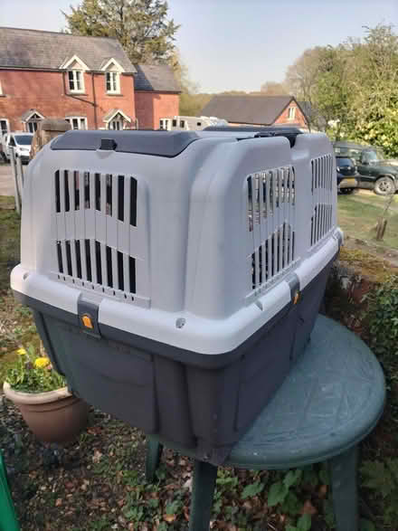 Photo of free Small dog cage (Landford) #3