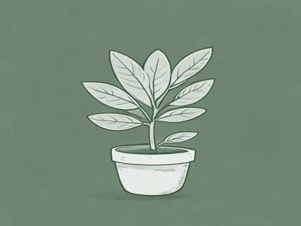 Photo of free draconacea plant needs tlc (Moor Allerton LS17) #1