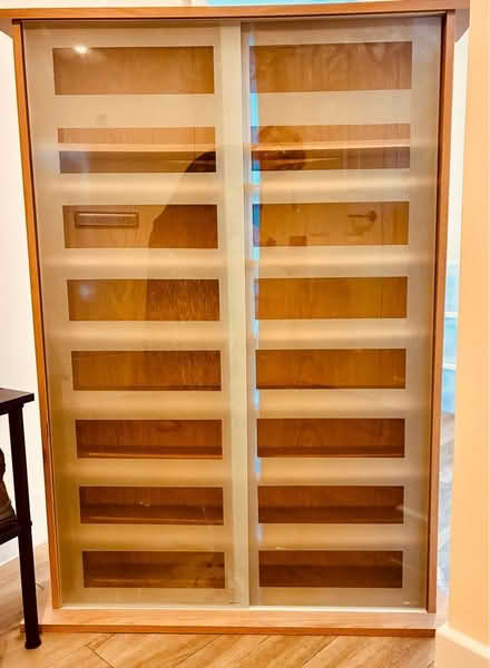 Photo of free DVD/CD Cabinet (Dunstable LU5) #1
