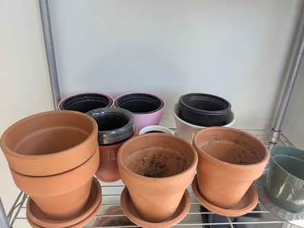 Photo of free Plant pots (Revere) #3