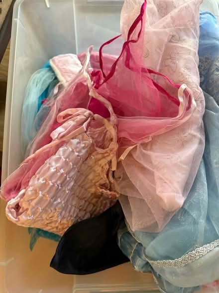 Photo of free Little girls dress up dresses (Santana row) #1
