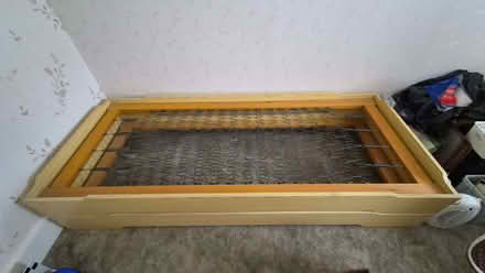 Photo of free Twin Stacking Visitor Single Beds + Mattresses (Faversham ME13) #3