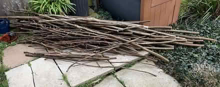 Photo of free Hazel sticks (Weymouth DT3) #1