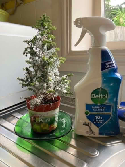 Photo of free Houseplants, pot, stand and plates (Goffs Oak EN7) #1
