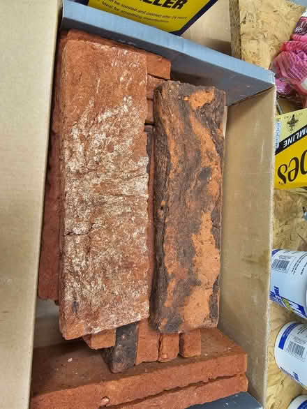 Photo of free Brick Slips Reddish Brown (Rooks Nest SG1) #3