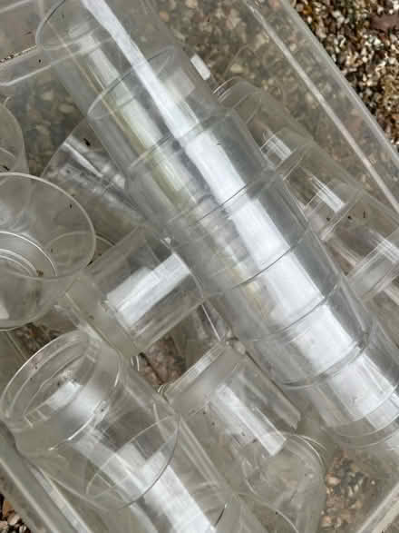 Photo of free Plastic cups (Little Baddow CM3) #2