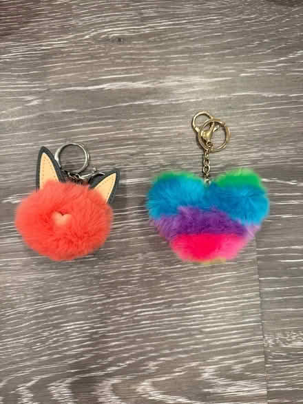 Photo of free Cute keychains (Coolidge Corner, Brookline) #1