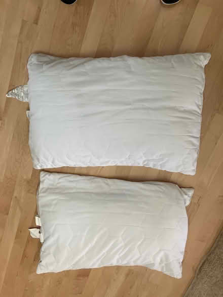 Photo of free 2 pillows (Southwest Ann Arbor) #1