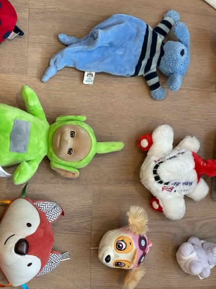 Photo of free Cuddly toys (Lightwater GU18) #2