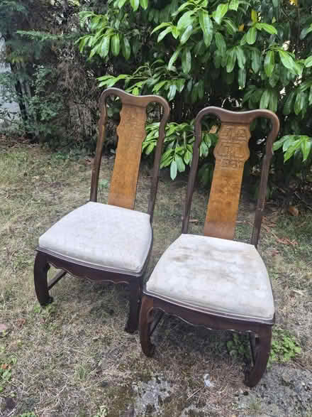 Photo of free Large dining table +6 chairs (Buxted TN22) #2