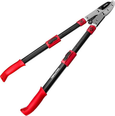 Photo of Loppers - For Pruning Trees (Canterbury CT2) #1