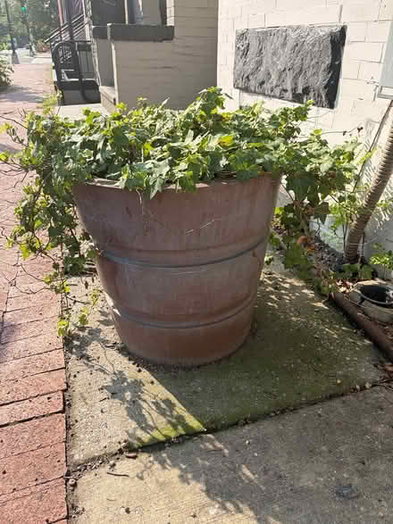 Photo of free Planters (Chevy Chase Washington DC) #1