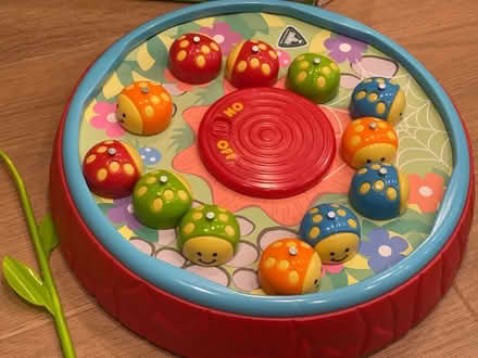 Photo of free Kids jitterbugs bugs catching game (Lightwater GU18) #2