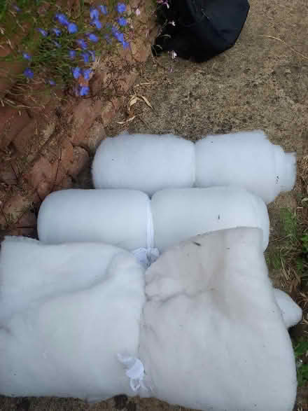 Photo of free Toy Stuffing (Cutteslowe OX2) #1