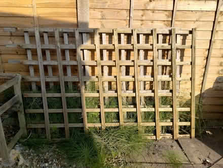 Photo of free 2 Open Trellis Panels. (Burnham On Sea TA8) #1