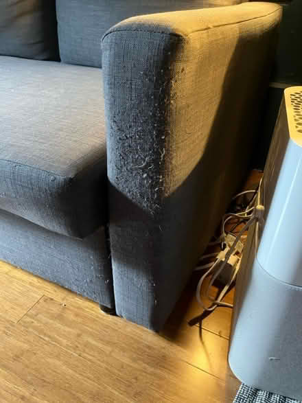 Photo of free Friheten IKEA Sleeper Sofa (Skyway) #3