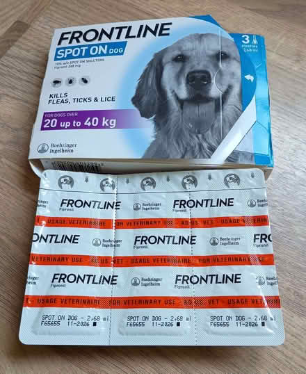 Photo of free Frontline for dogs and dog toothpaste plus some dog treats (Penybont LD1) #1