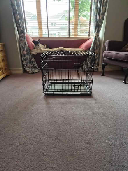 Photo of free Dog crate small (Swords) #1
