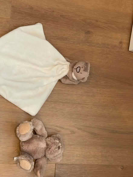 Photo of free Cuddly toys (Lightwater GU18) #4
