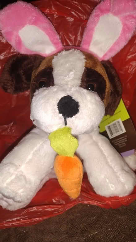 Photo of free Easter Dog Plushies (Harlem) #2