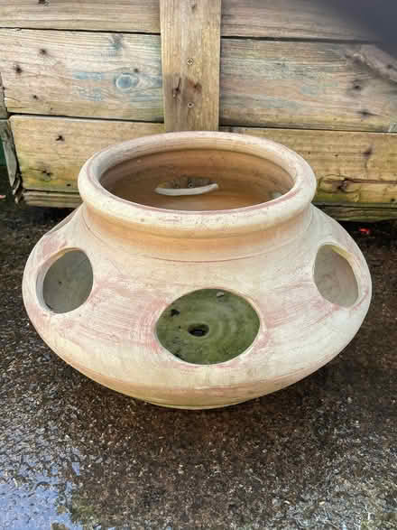Photo of free Herb planter (University of Bath BA2) #1