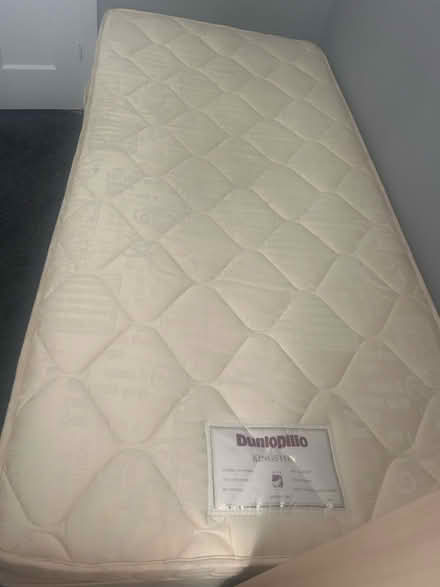 Photo of free Single bed (Torquay) #1