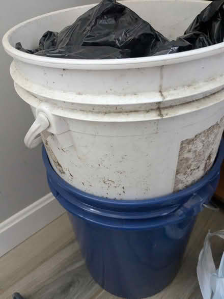 Photo of free Bucket of dirt (Revere) #1