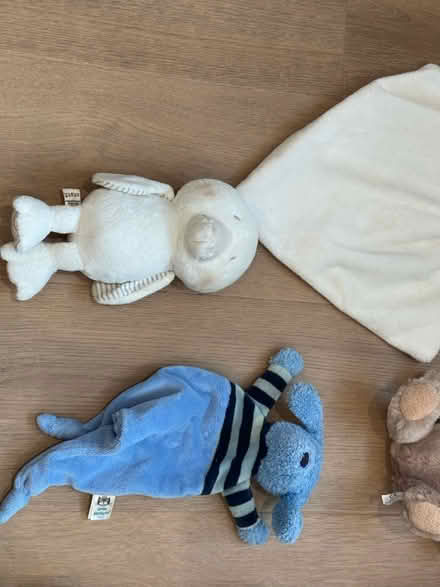 Photo of free Cuddly toys (Lightwater GU18) #3