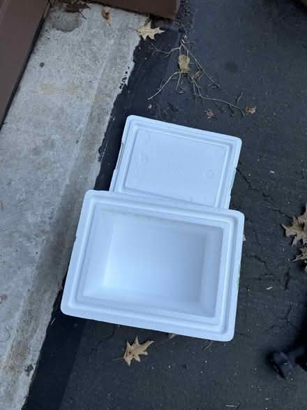 Photo of free Styrofoam cooler (New Fairfield Squantz Pond) #1