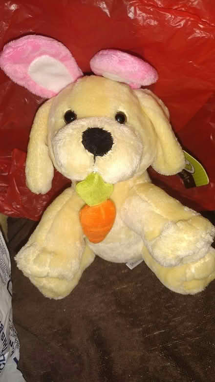 Photo of free Easter Dog Plushies (Harlem) #3
