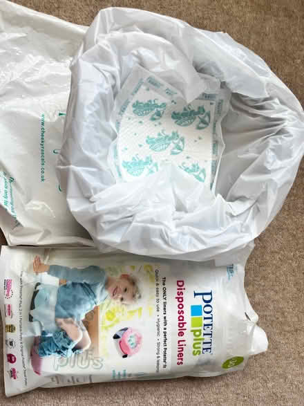 Photo of free Potette Plus Travel Potty (Ensleigh BA1) #2