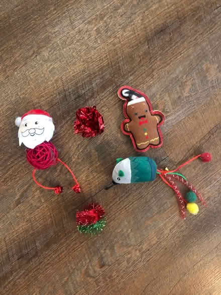Photo of free Cat toys (New Market) #1
