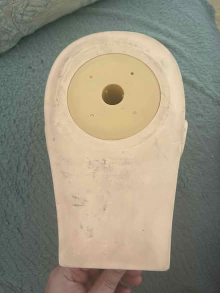 Photo of free Mannequin head (Bartley Green B32) #2