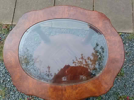 Photo of free Coffee Table (New Catton NR3) #2