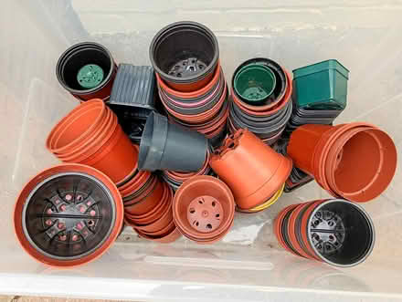 Photo of free Plastic plant pots (Black Park LL14) #1