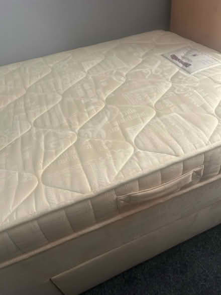 Photo of free Single bed (Torquay) #3