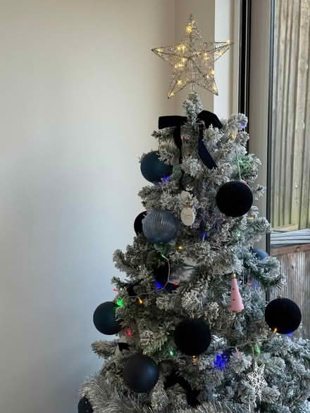 Photo of free Christmas tree with decorations (Fryent NW9) #1